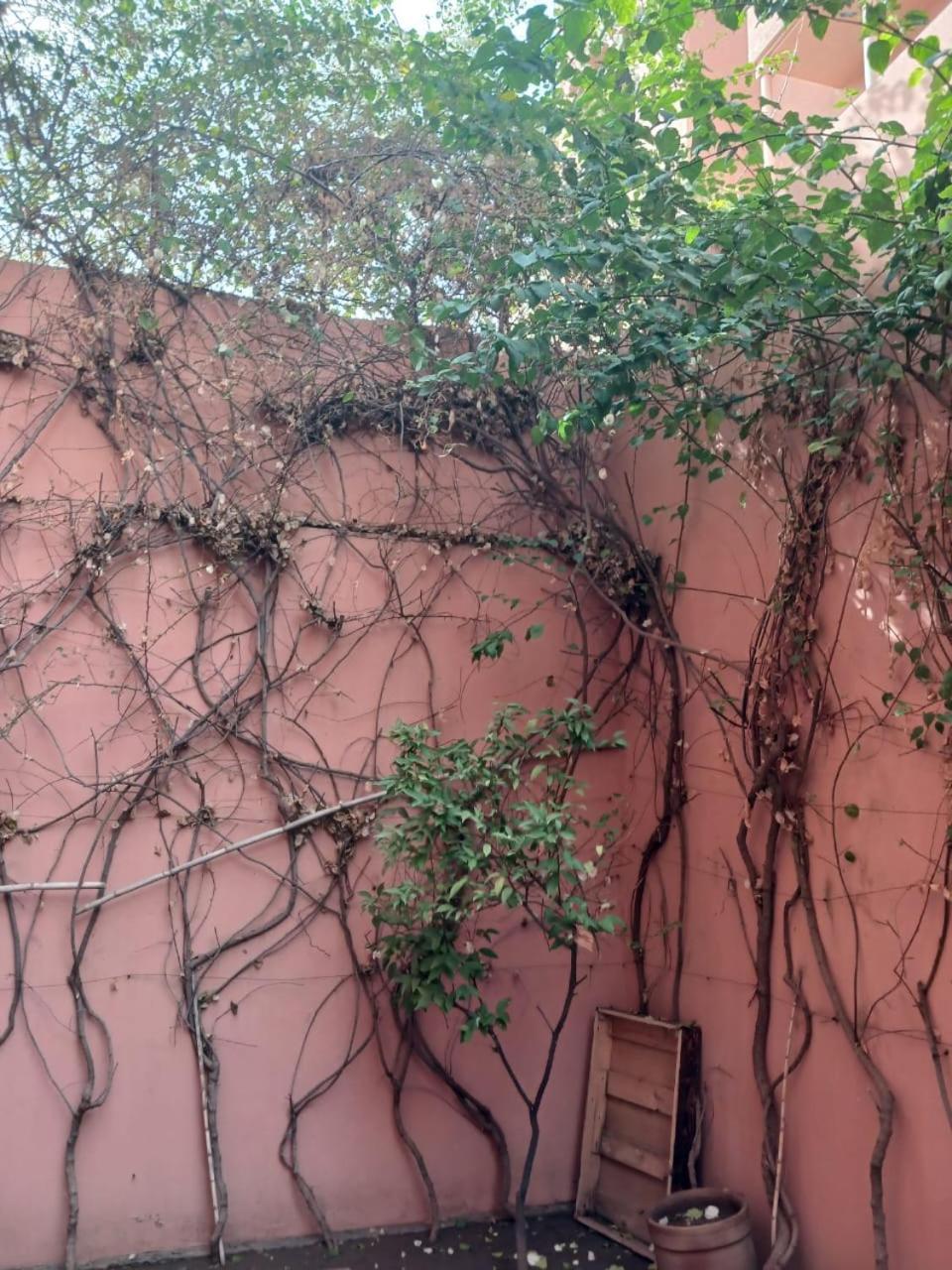 Mima * Marrakesh