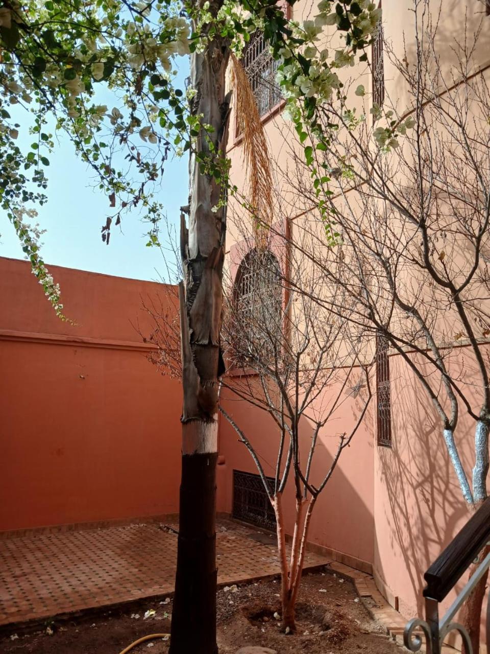 Mima Pensión