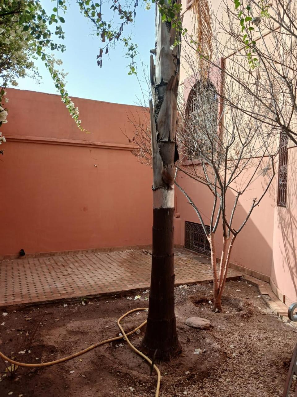 Pensión Mima
