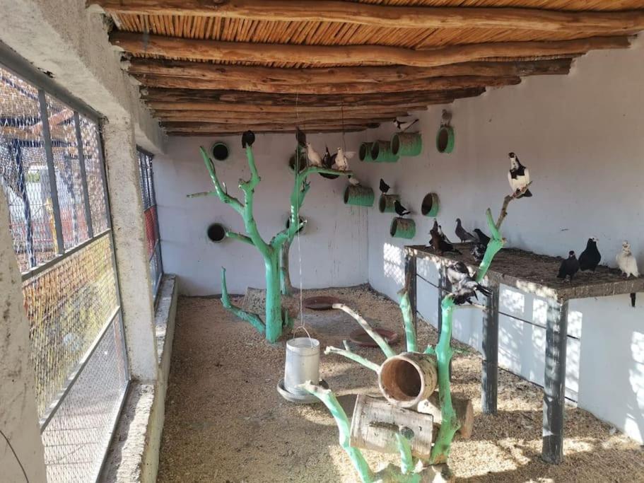 Marrakech Luxury Farm Marrakesh