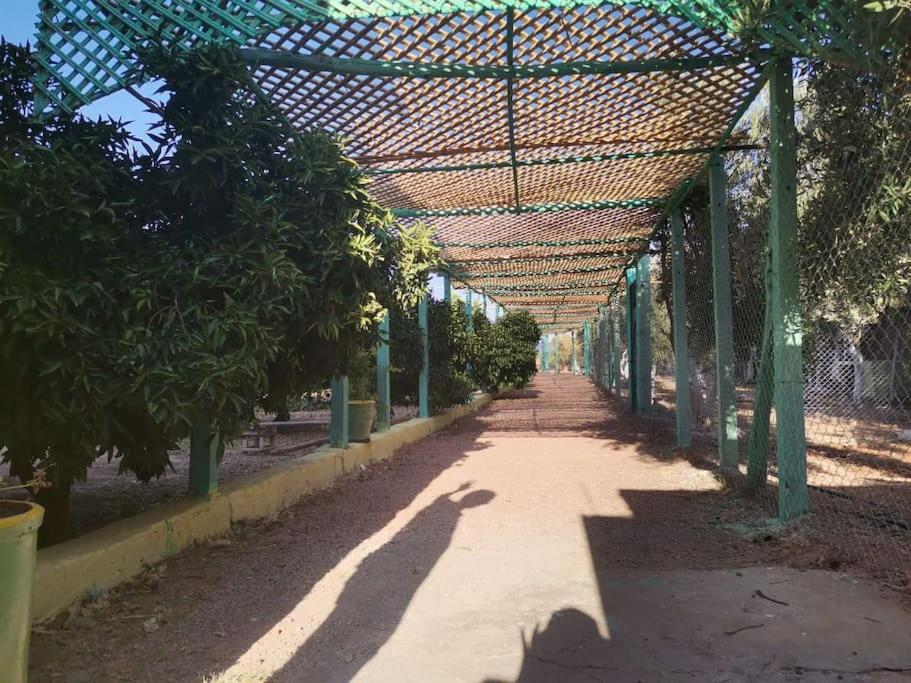 Marrakech Luxury Farm Villa *
