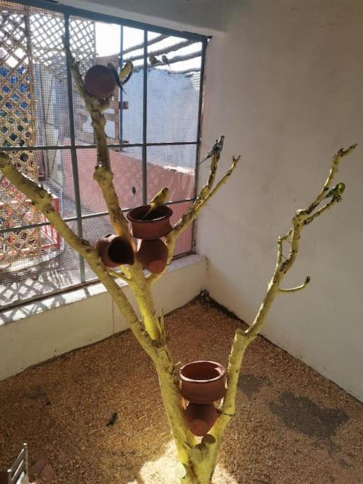 Villa Marrakech Luxury Farm *