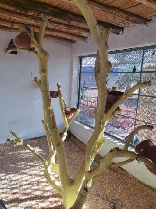 Marrakech Luxury Farm