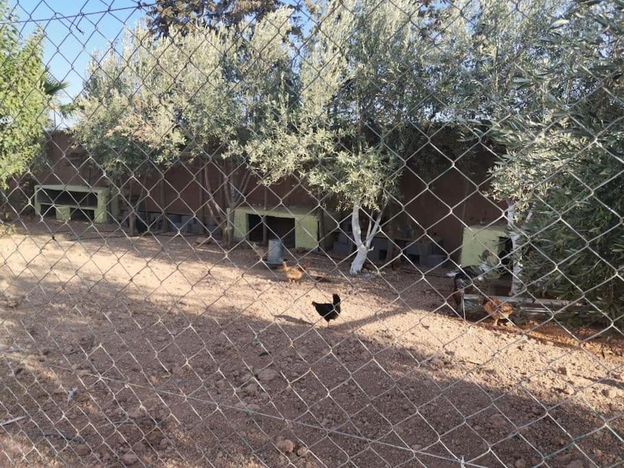 Marrakech Luxury Farm Marrakesh