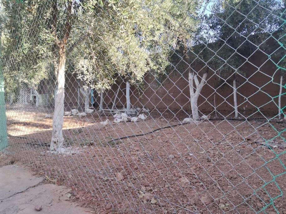 Marrakech Luxury Farm *