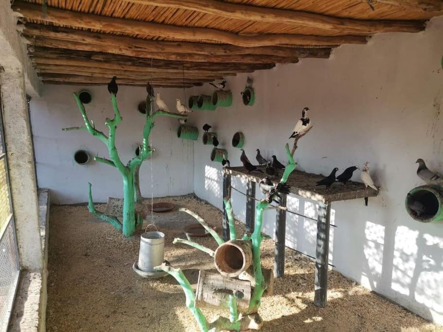 Marrakech Luxury Farm *