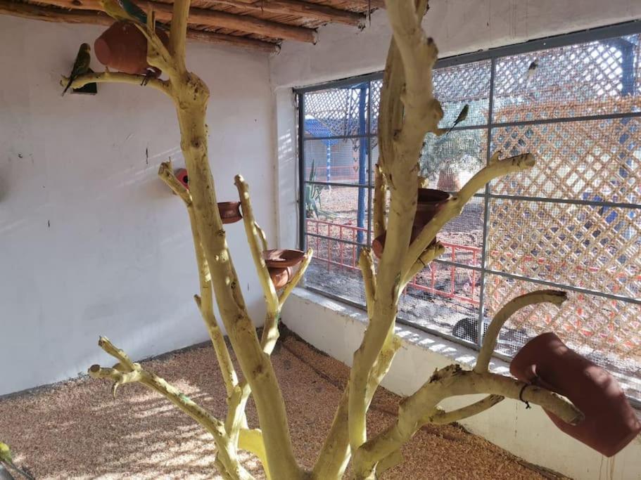Villa Marrakech Luxury Farm Marrakesh