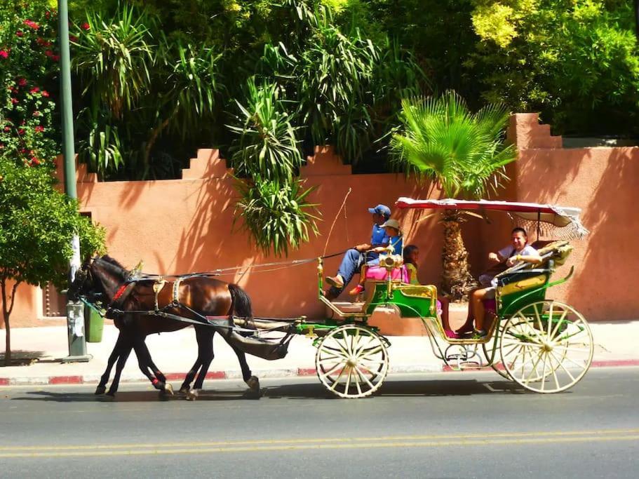 Appartement African Dream - Marrakech Centre *