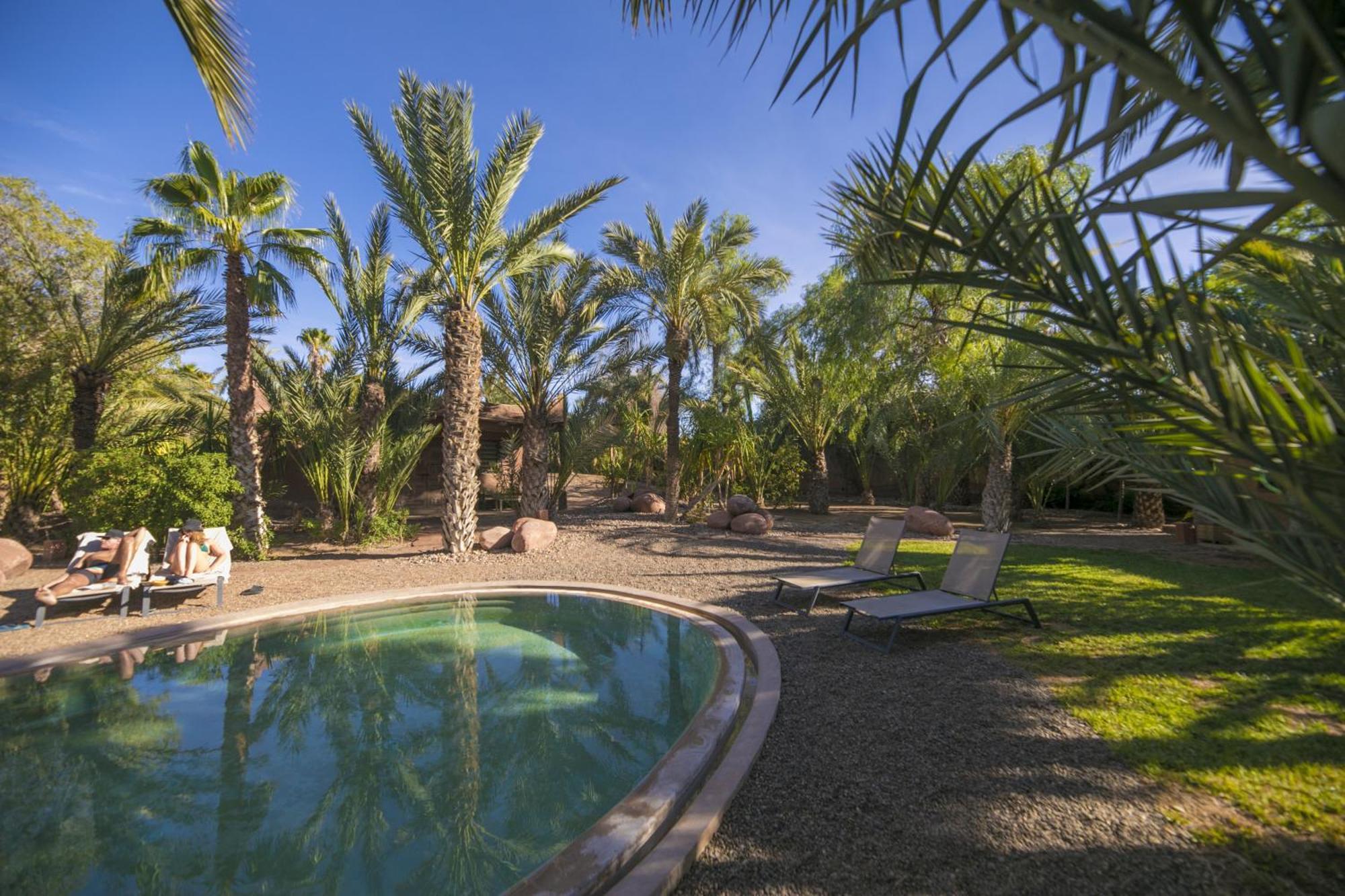 Maison d'hôtes Le Perroquet Bleu Marrakesh