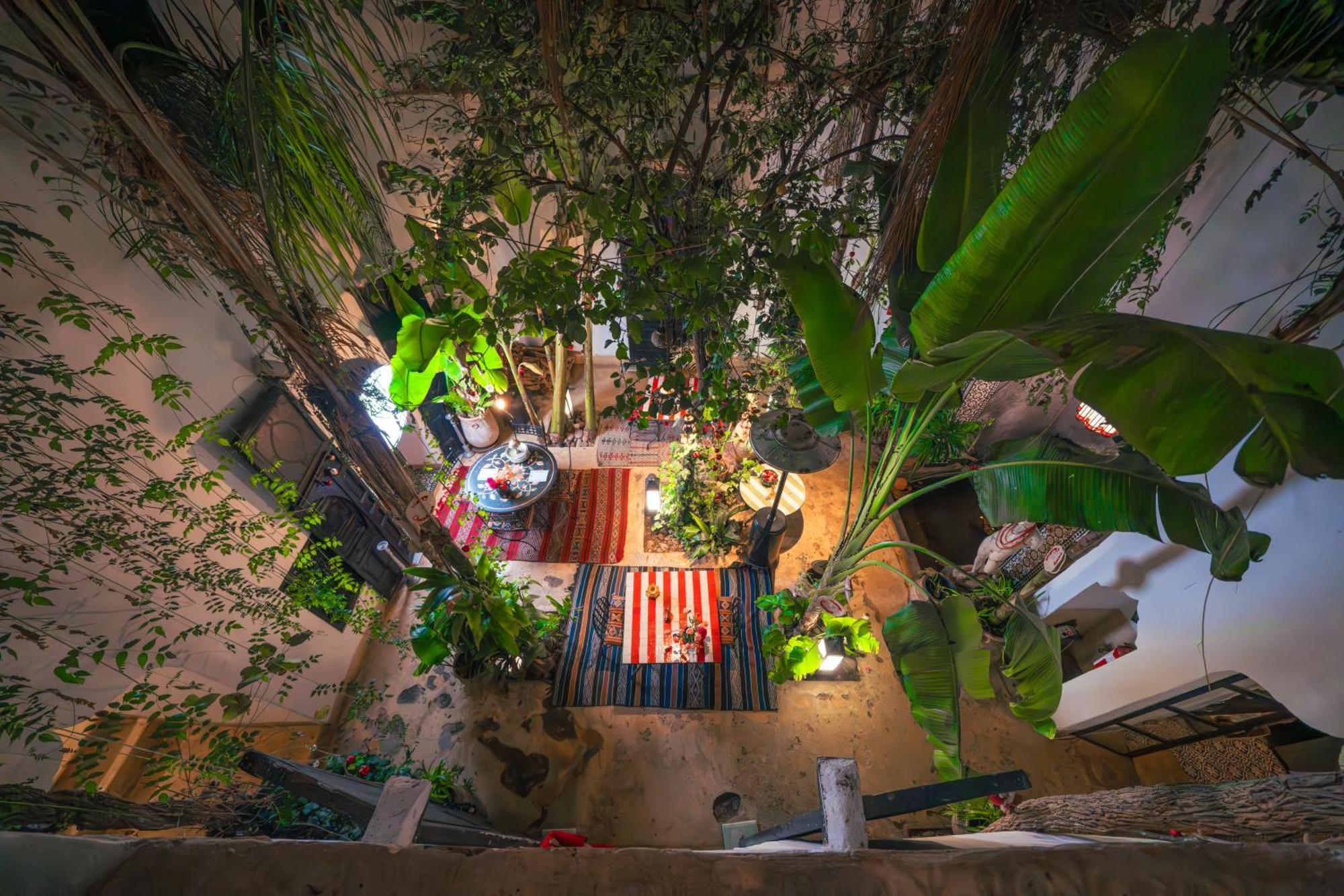 Tibibt Riad