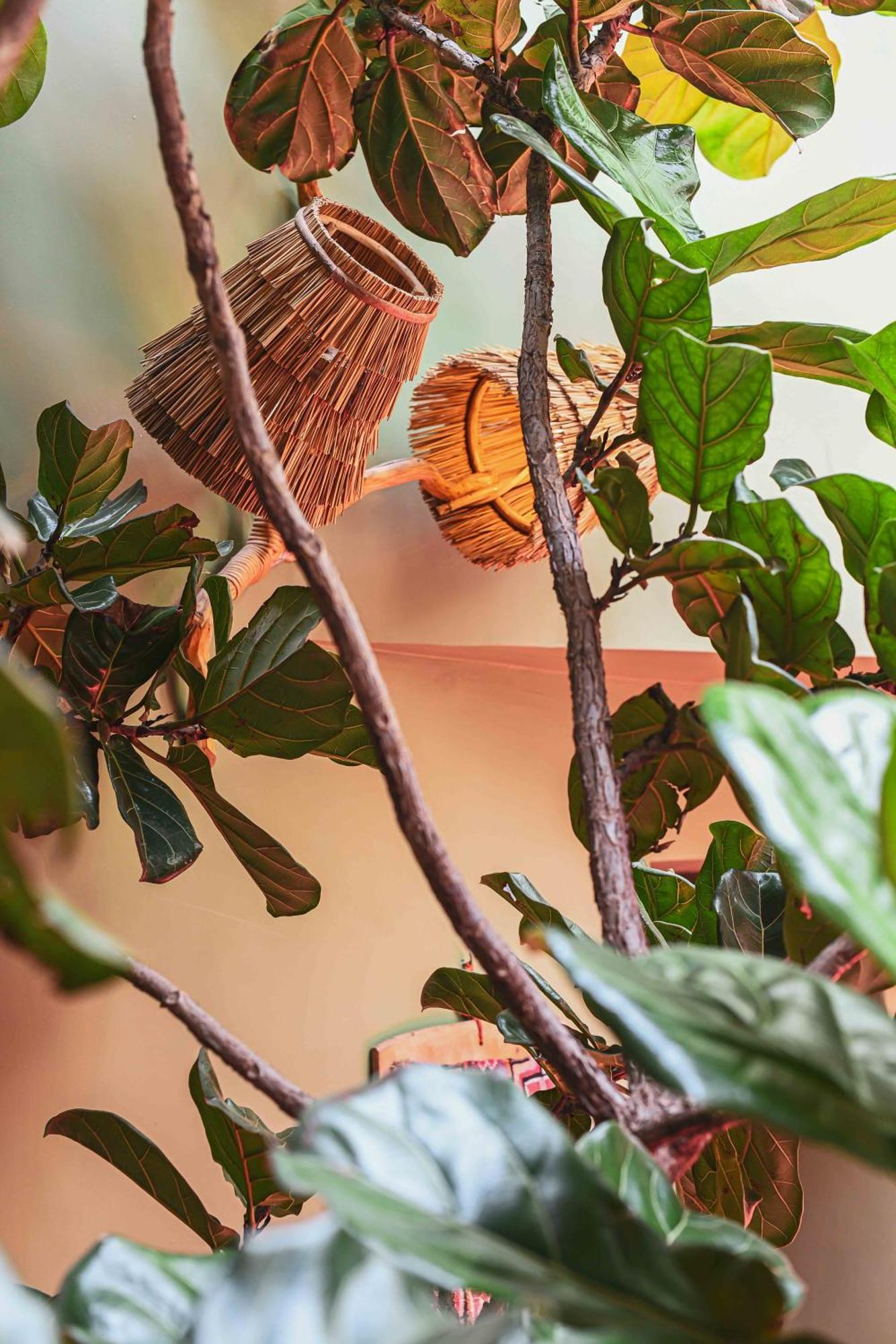 Riad Olive Privatif 4 Personnes Riad