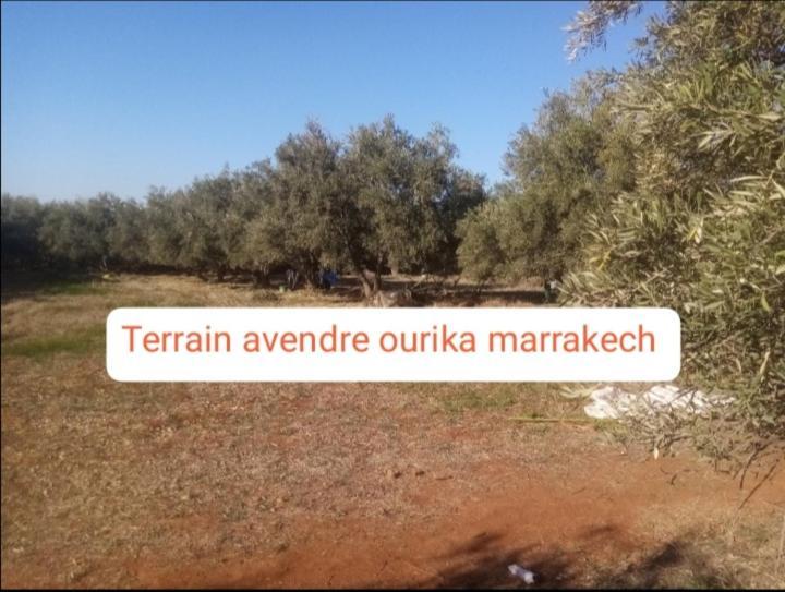 Terrain Avendre Pres De Marrakech 19 Km Appartement