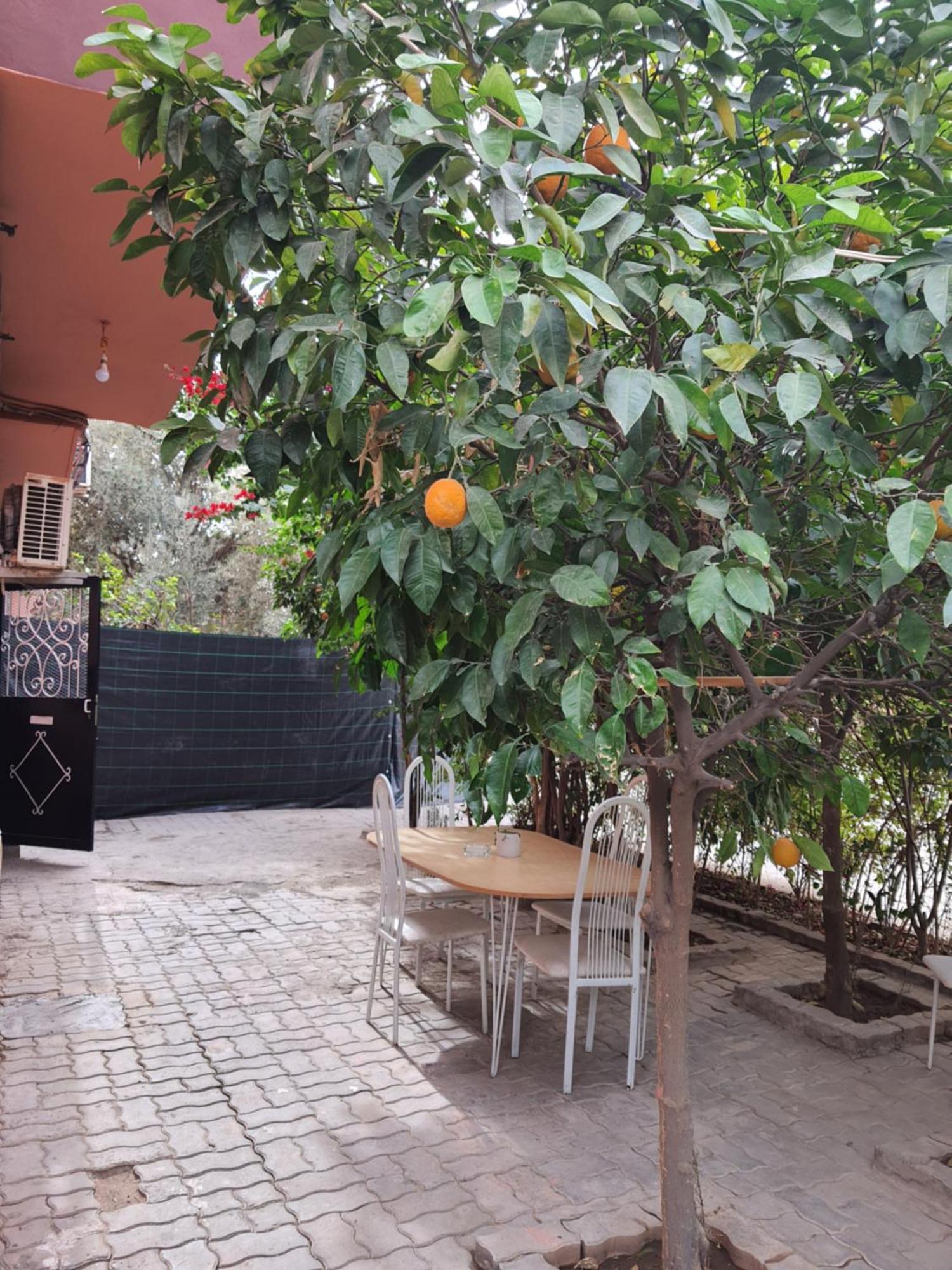 Apartment Marrakech Marrakesh
