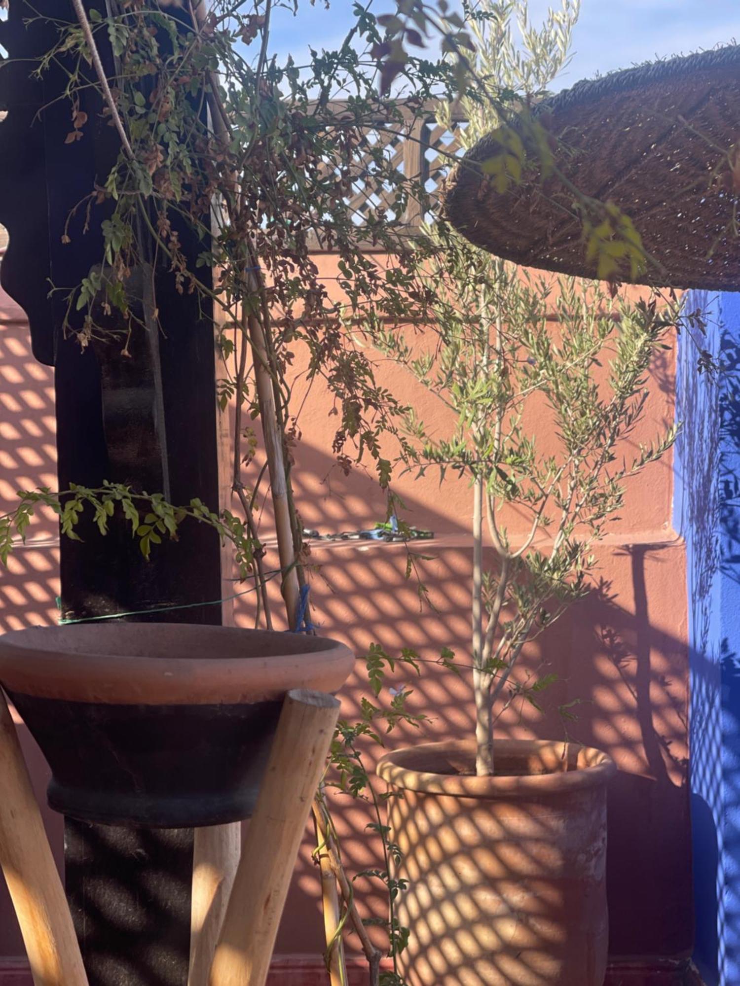 Riad Sr 3 Marrakesch