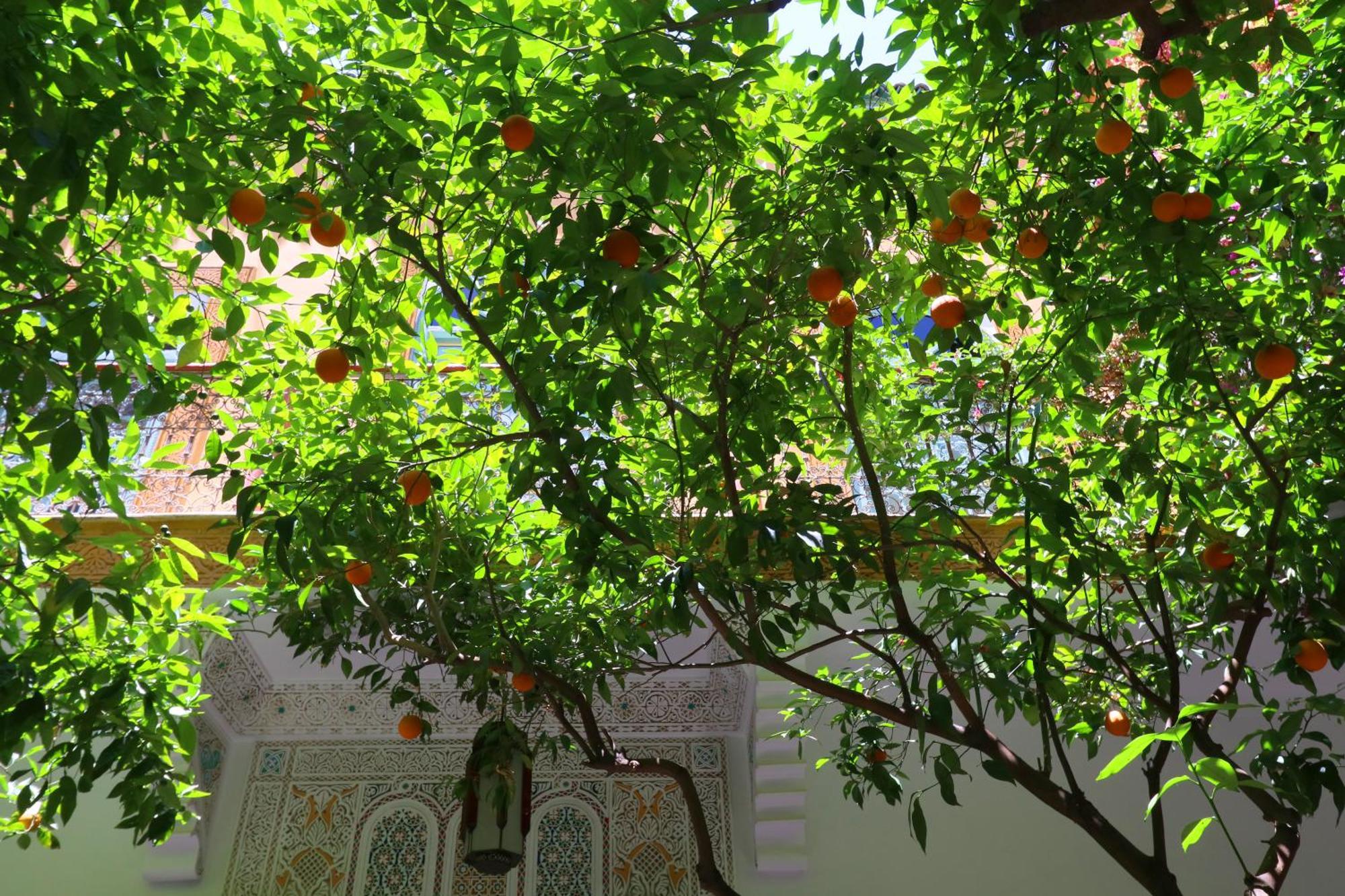 El Borj 3* Marrakesh