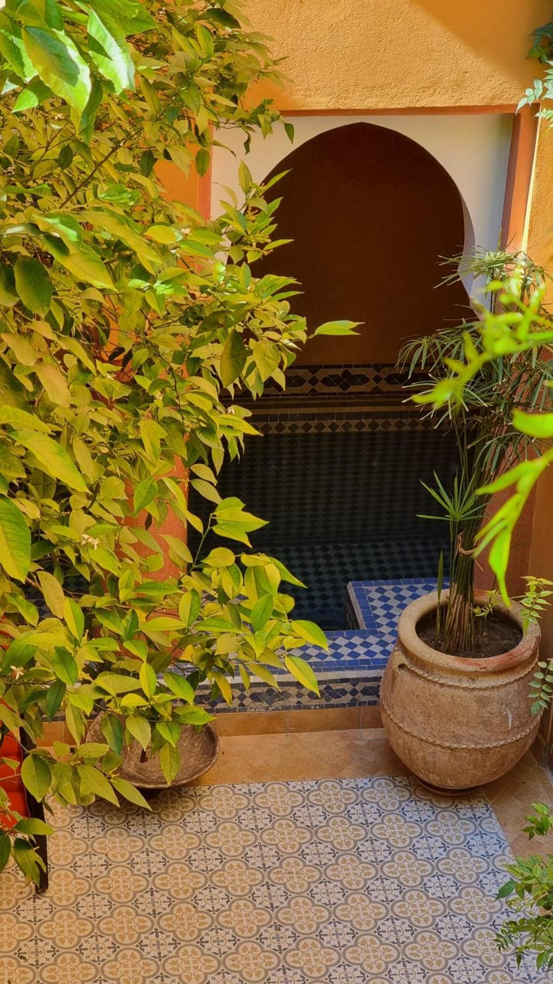 Bed and breakfast El Borj 3*