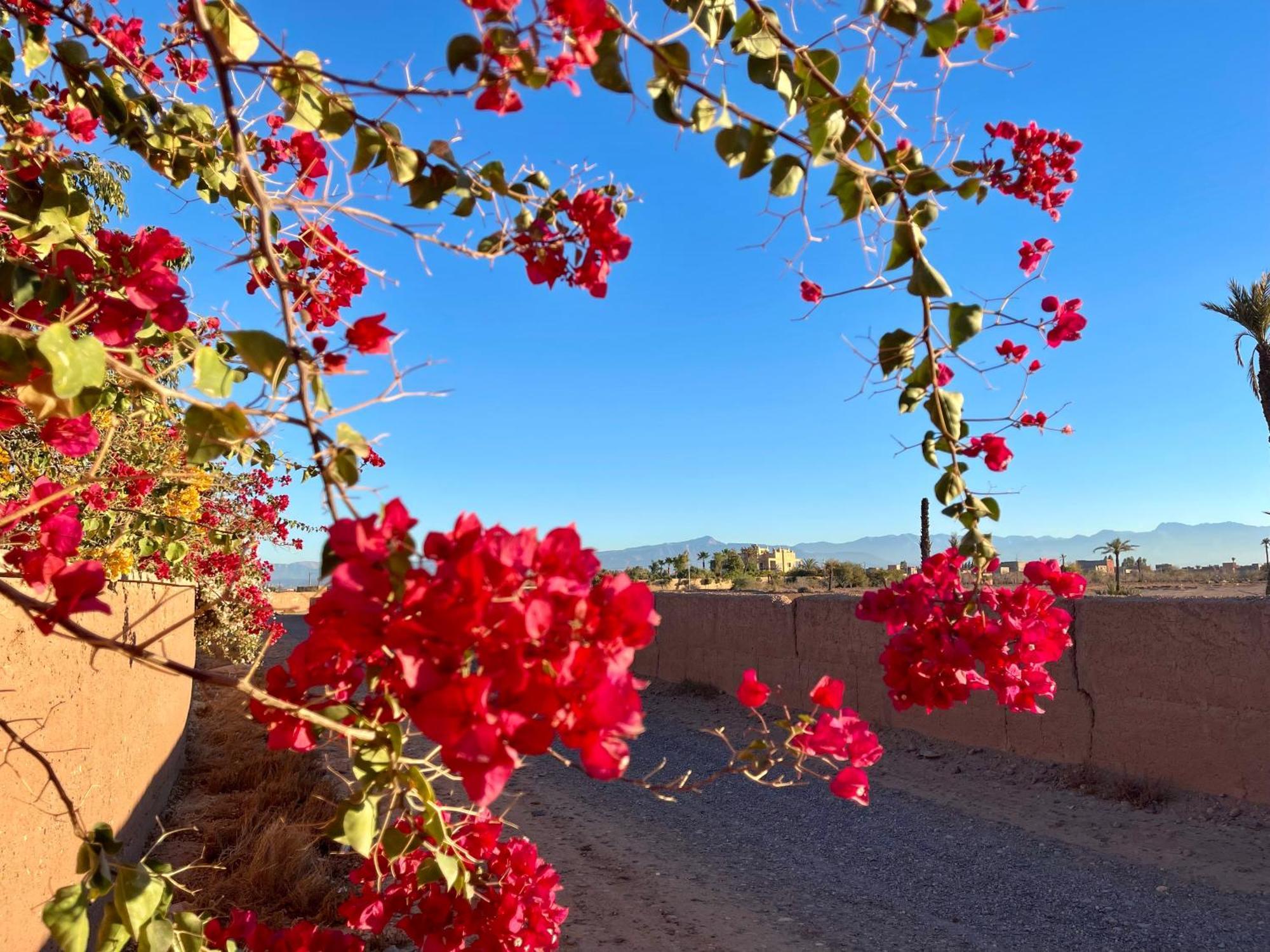 Dar Hadjar Maison d'hôtes Marrakesh