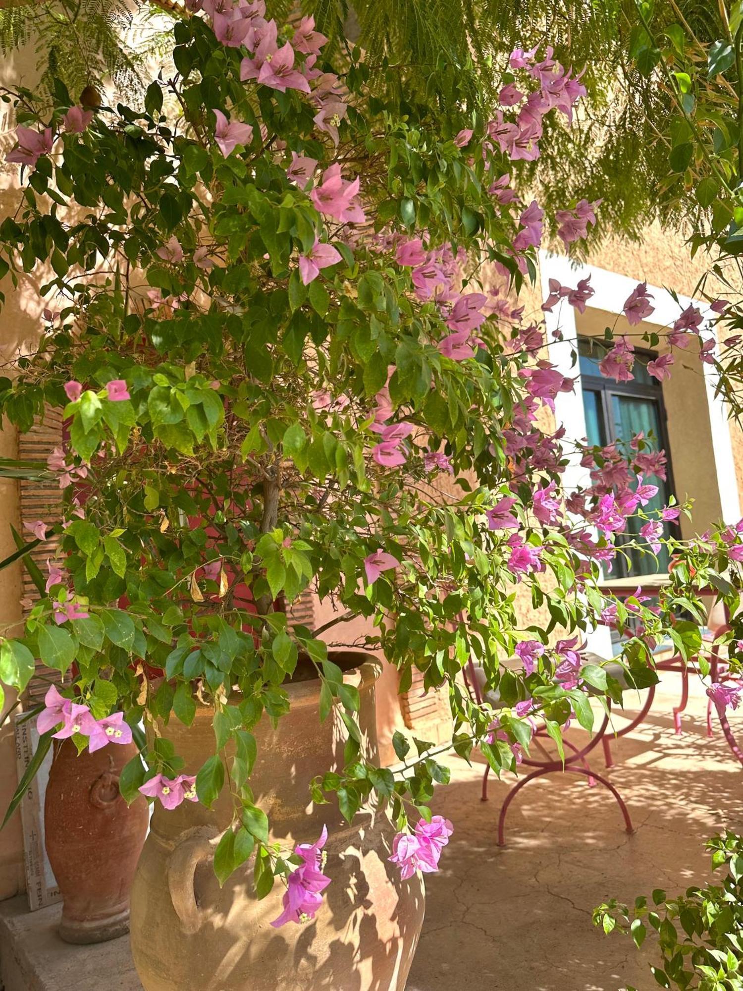 Hotel La Des Golfs & Pinkcactus Marrakesch