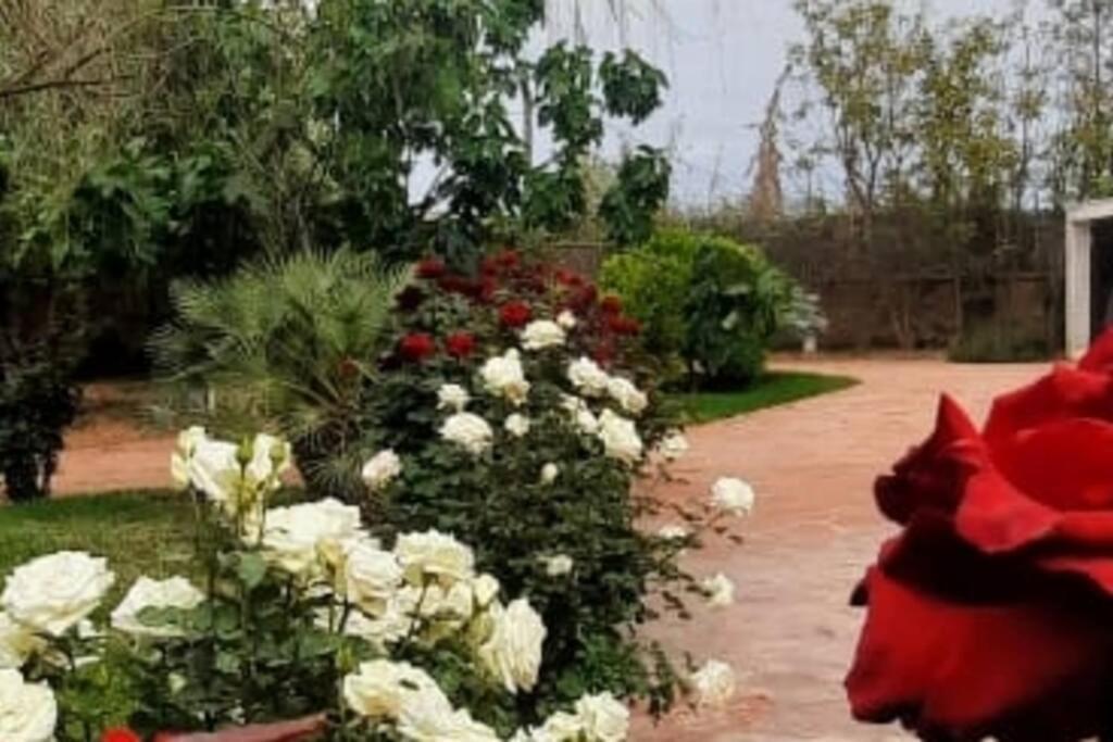 Villa Blanche Marrakesh