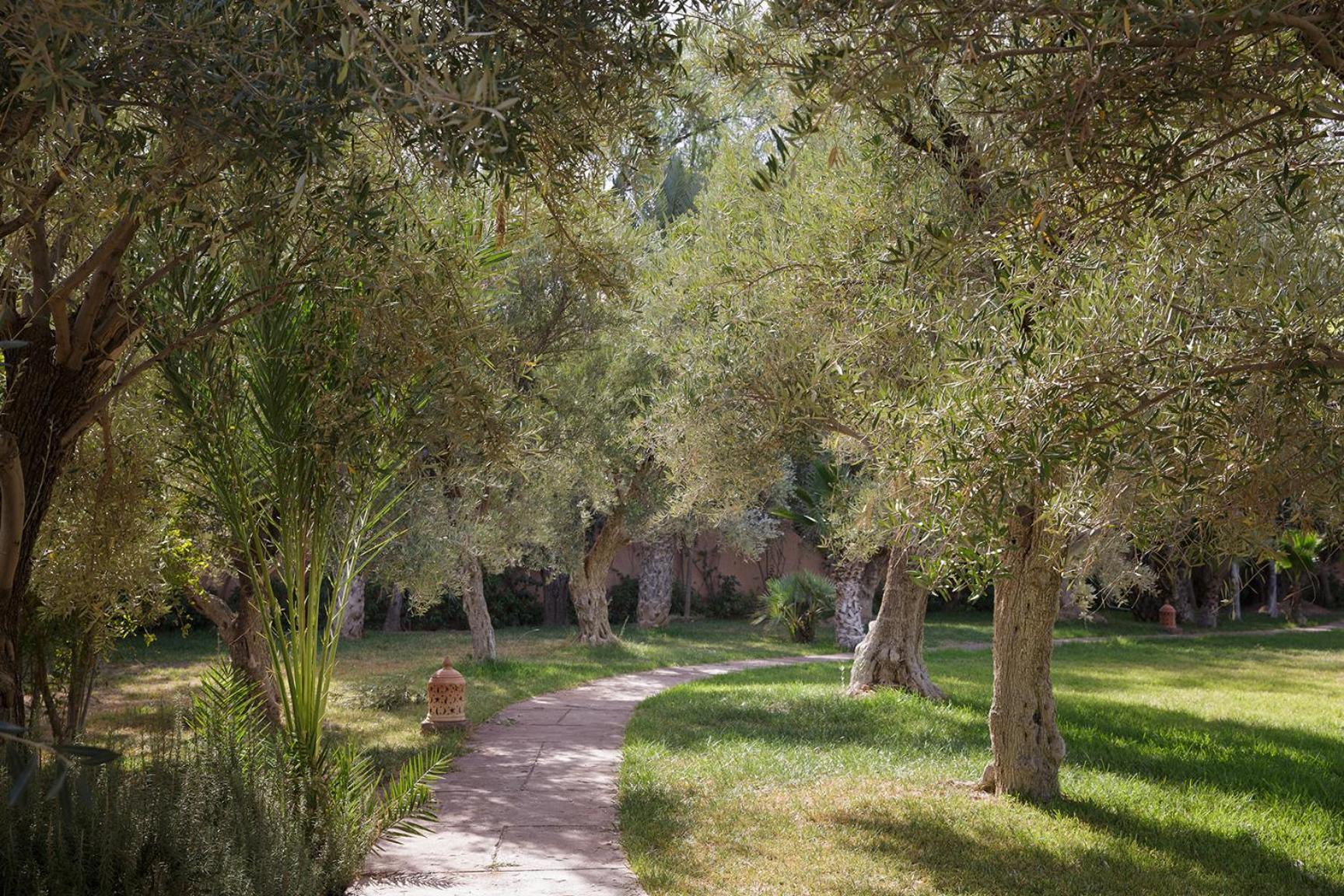 Meloe Marrakesh