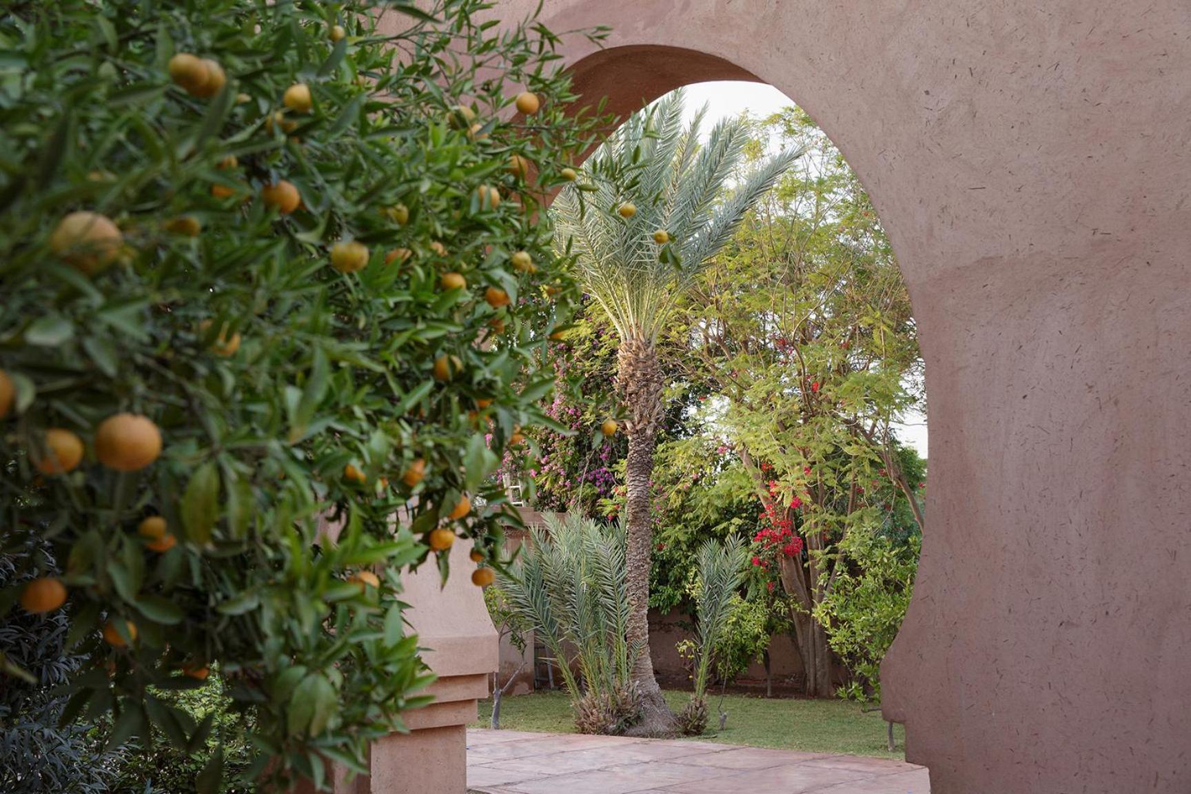 Meloe * Marrakesh