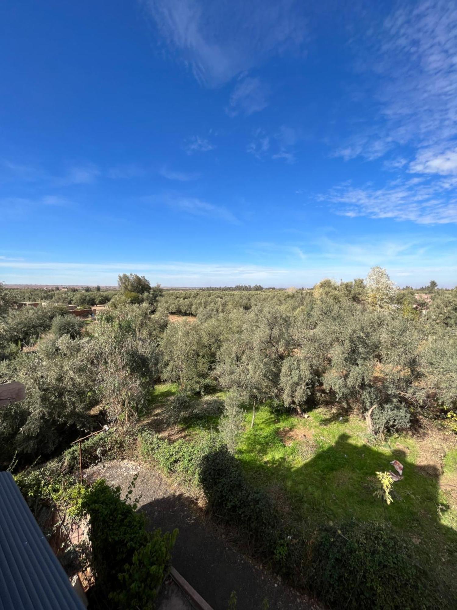 Villa Dar Jbel Marrakesh