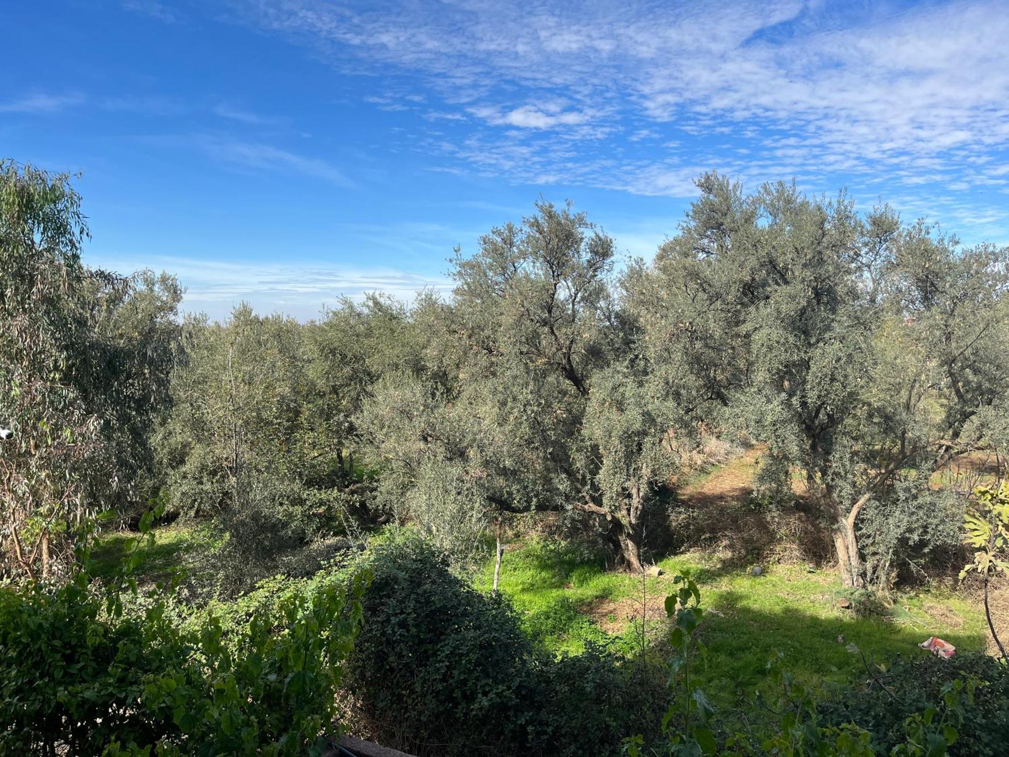 Dar Jbel Villa