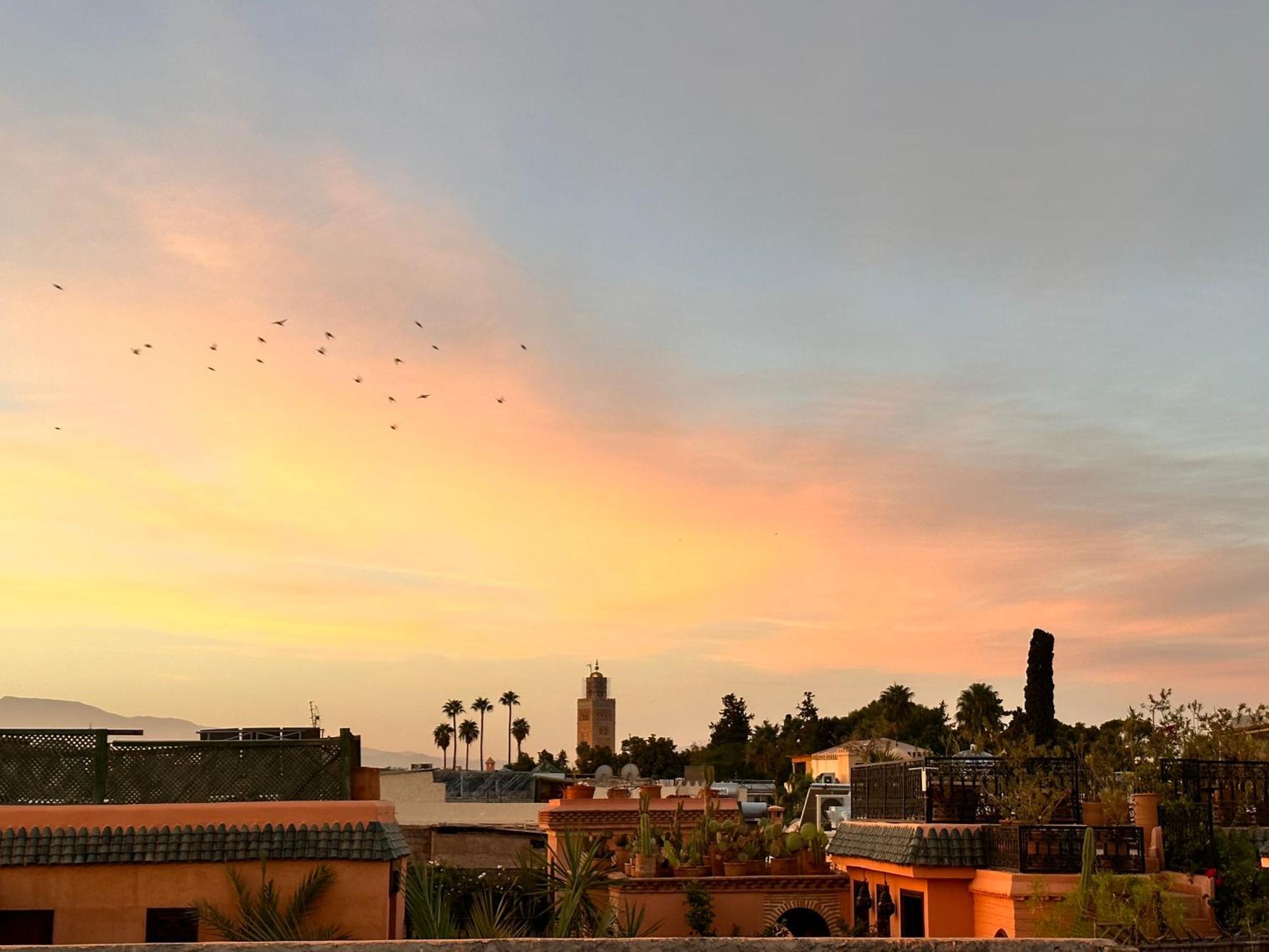 Belharra * Marrakesh