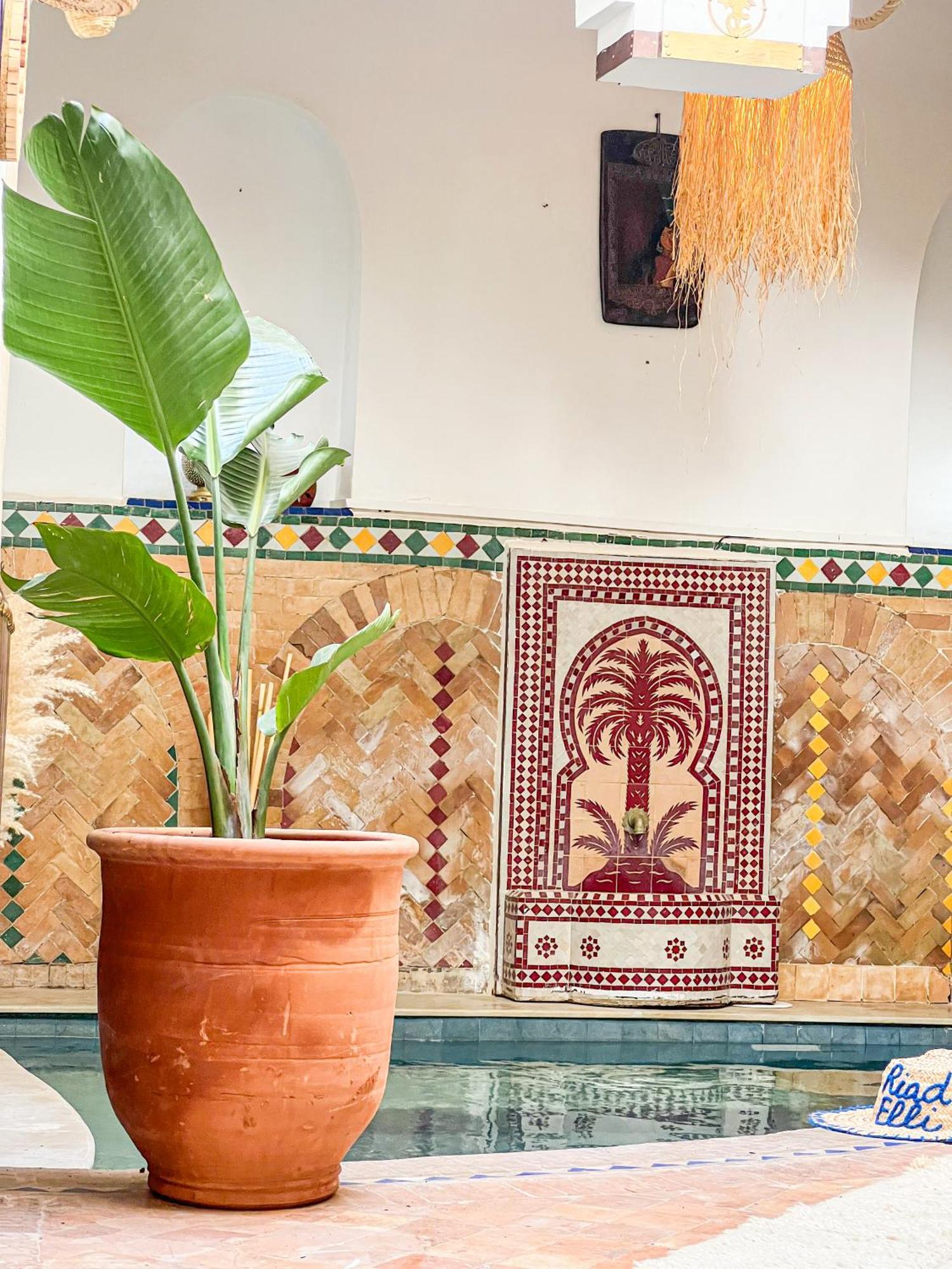 Elli Marrakech Marrakesh