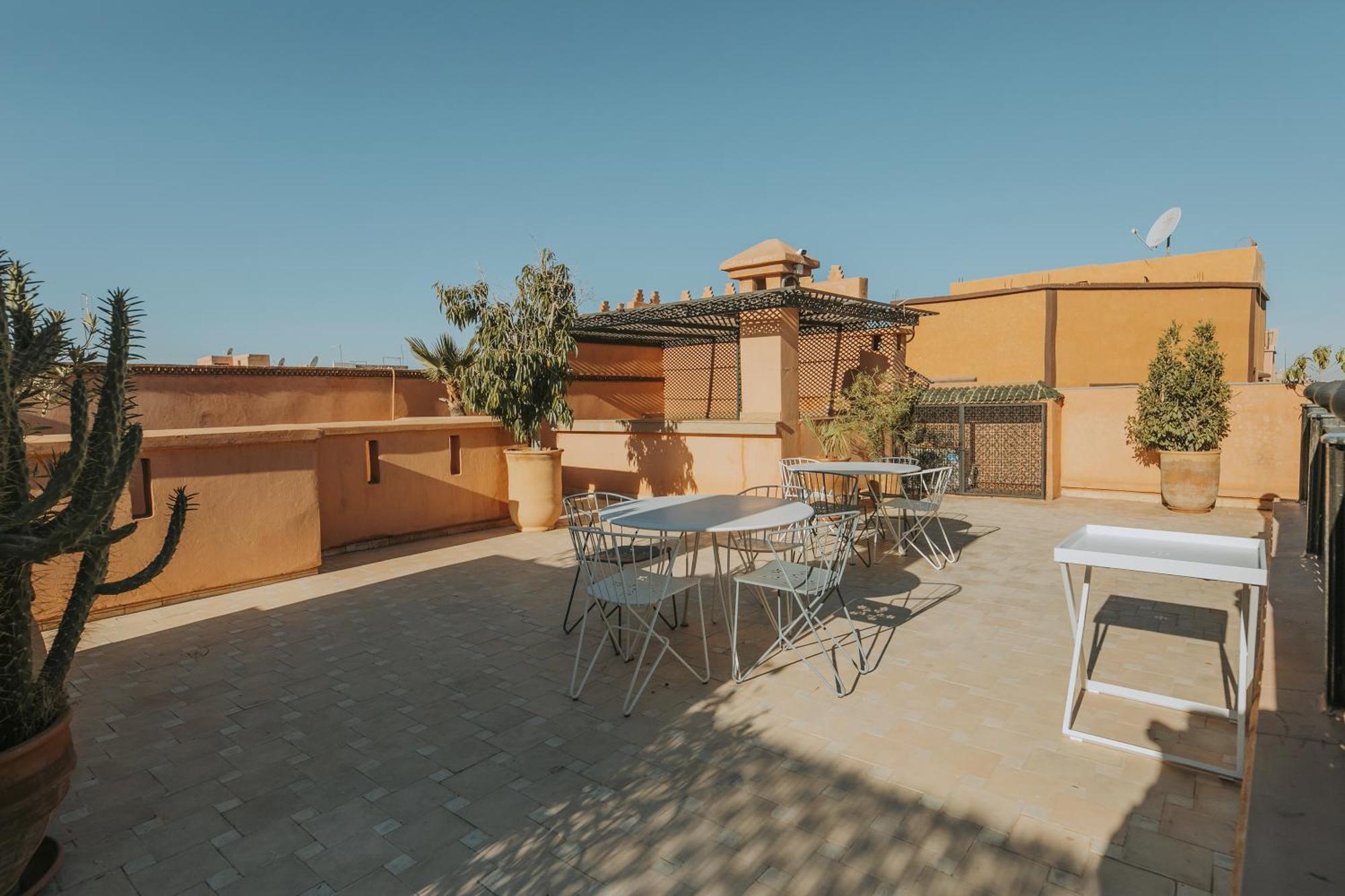 Le Perroquet Bleu & Marrakesh