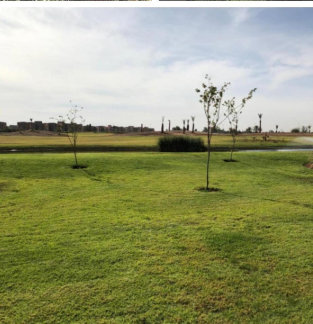 Prestigia Golf Pour Les Familles Appartement