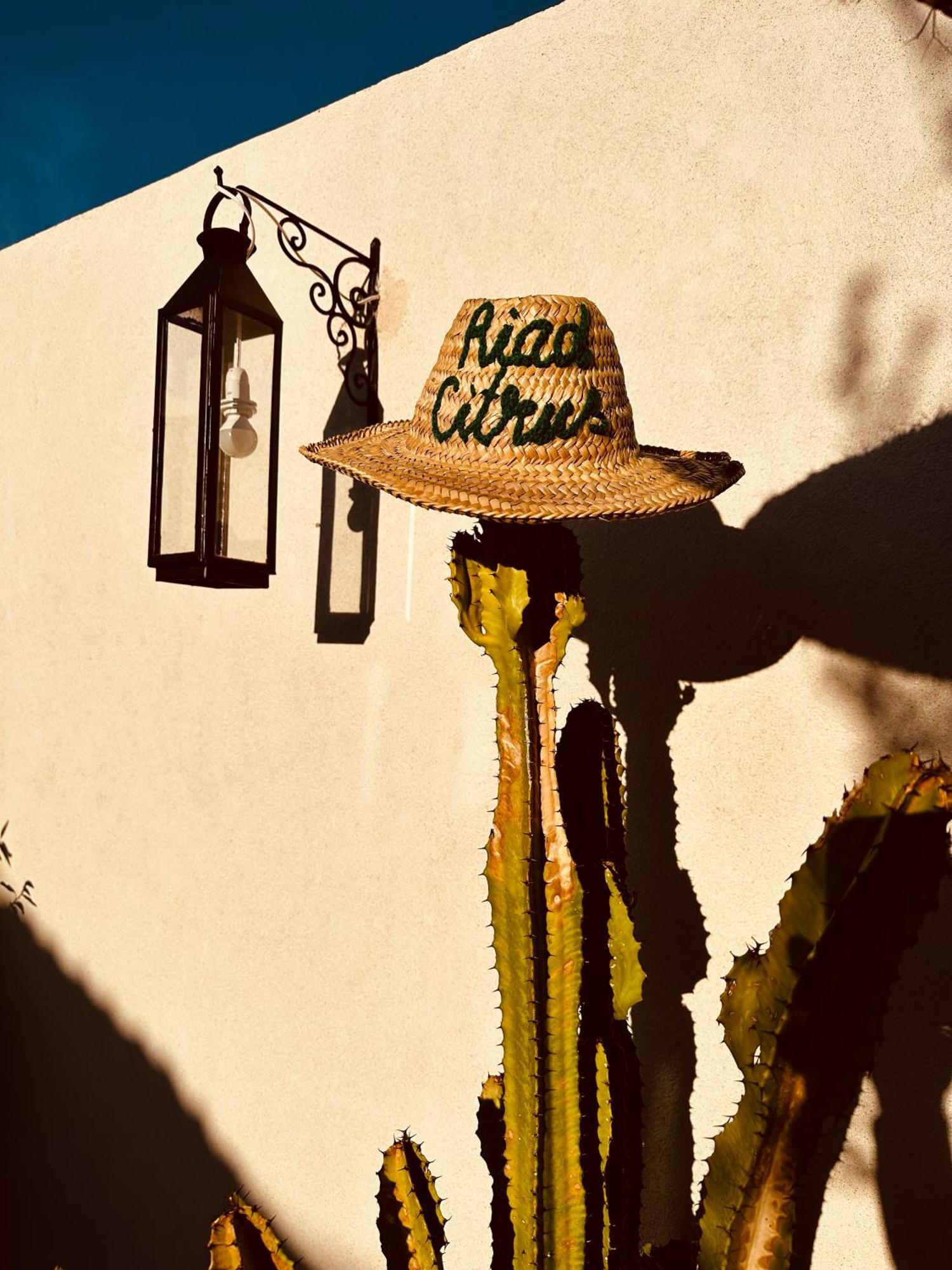 Citrus By La Siredrah Riad Marrakesch