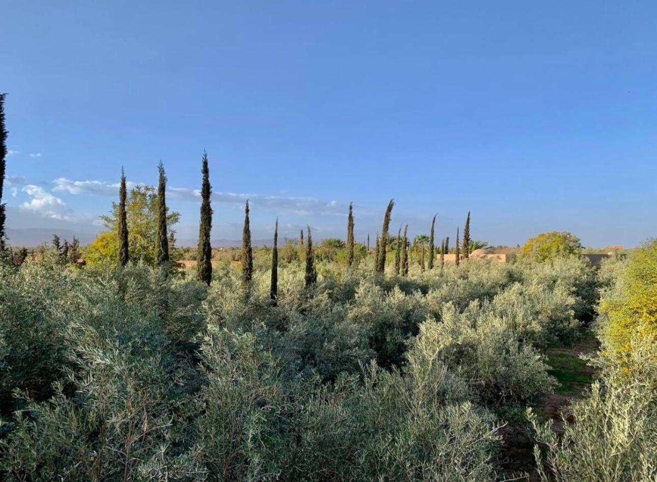 Dar Zeitoun Marrakesh