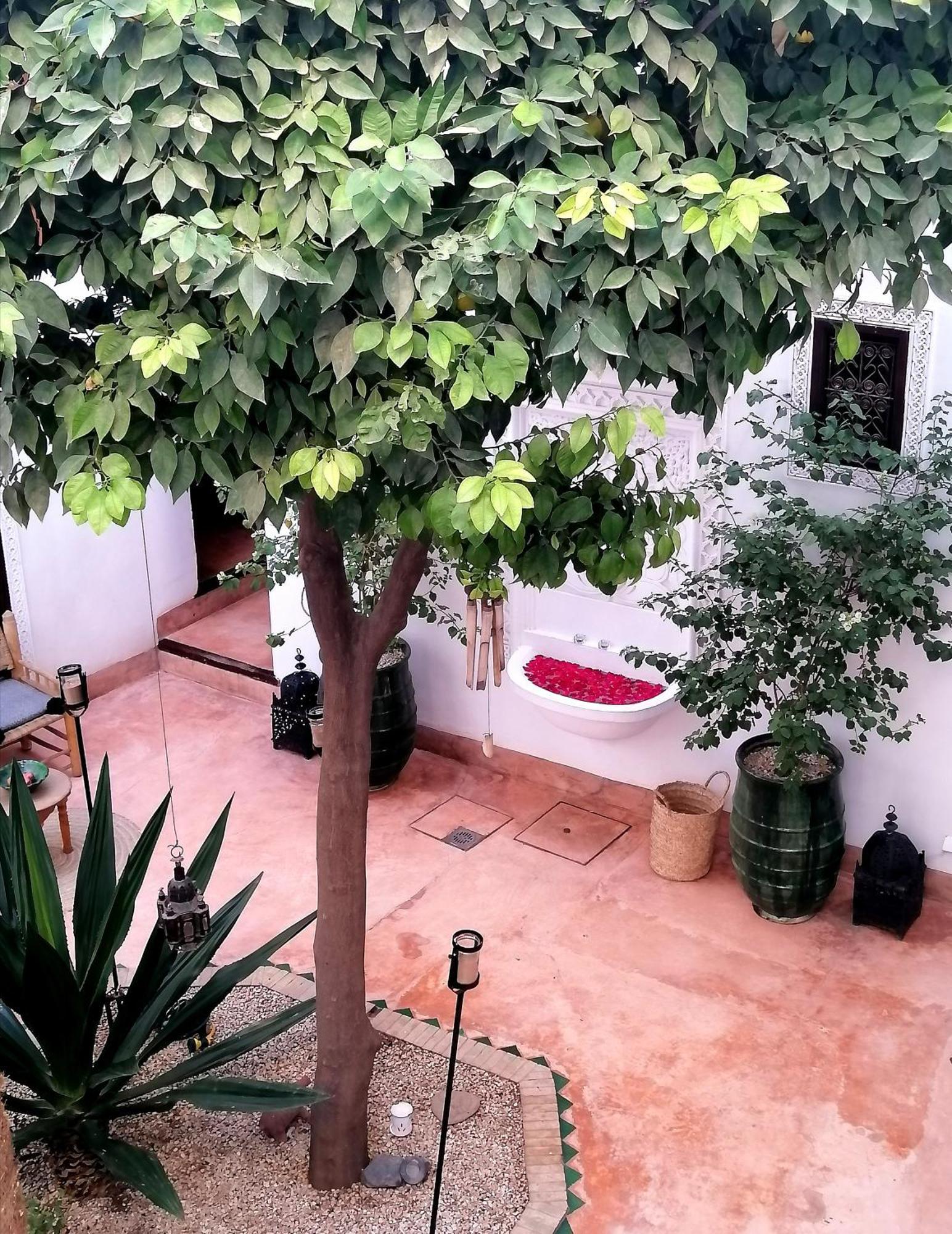 Dar Nouba Riad