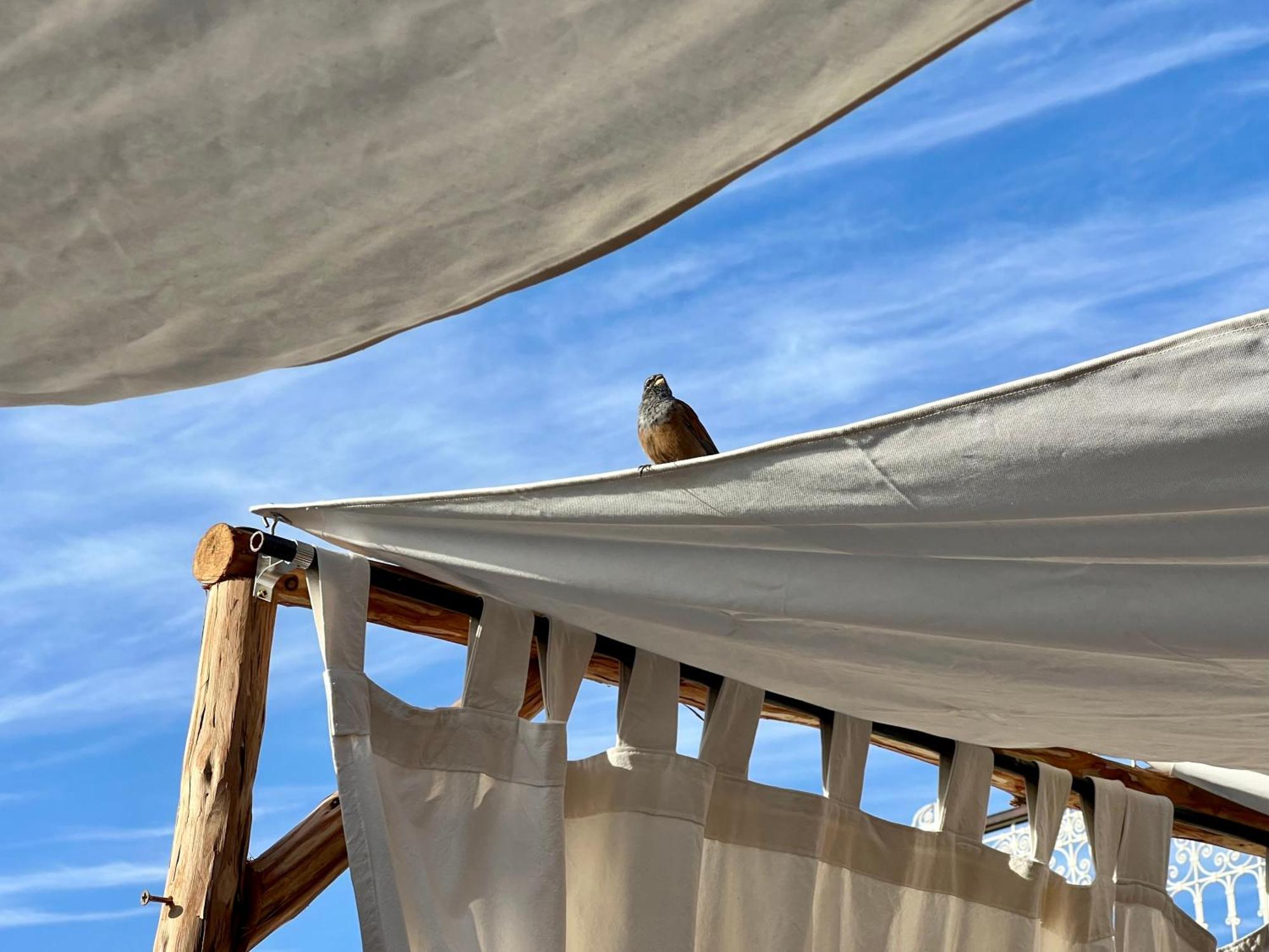 Bed & Breakfast Tizwa Marrakech Marrakesh