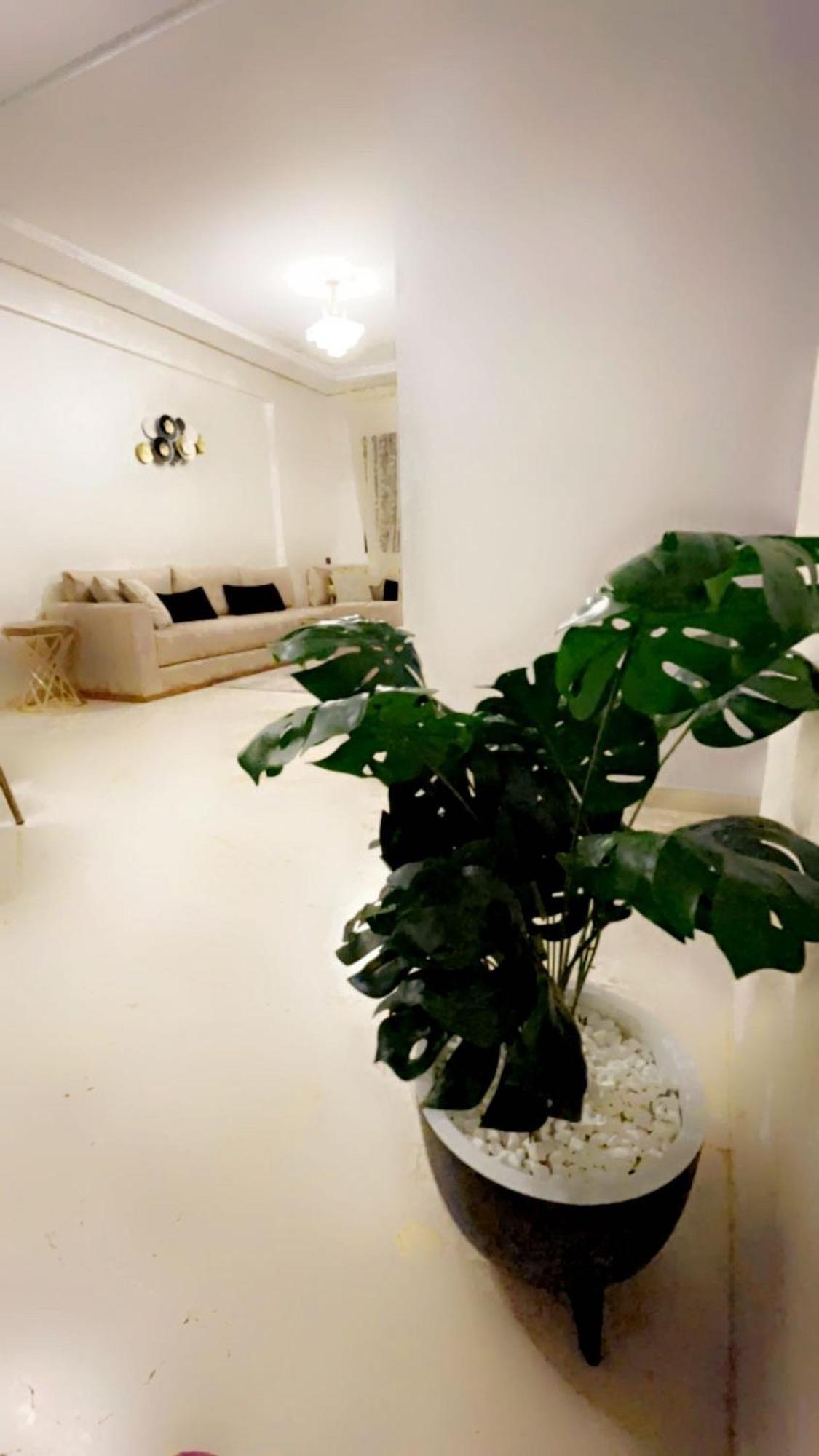 Gueliz L'hivernage Nour5 Apartment *