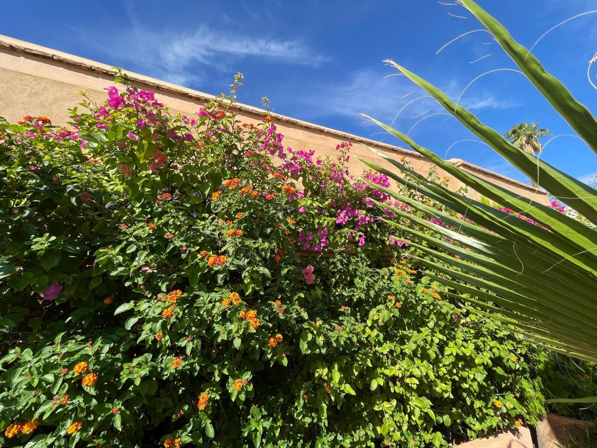 Zouhour Pensión