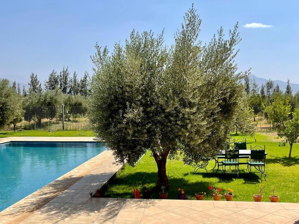 Villa De L'atlas