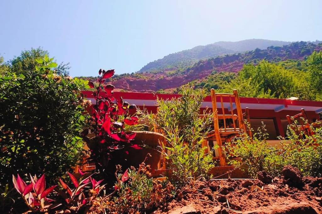 Ourika Atlas Vu Panoramique Avec Piscine Privee Appartamento Marrakesh
