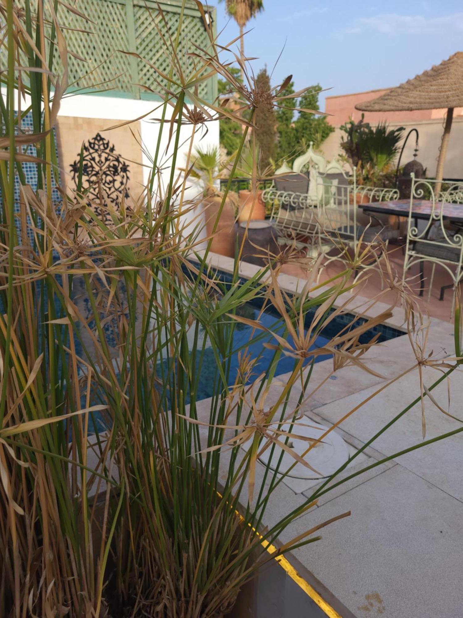 Swaka Riad Marrakesch