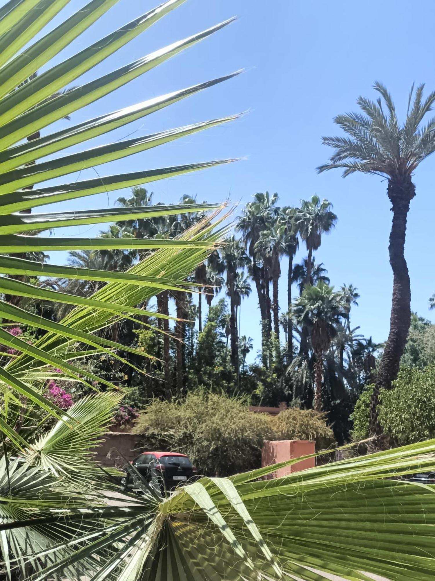 Superbe Avec Vue Sur Les Jardins Majorelle, Face Au Musee Ysl, Rue Yves Saint Laurent Apartamento Marrakesh