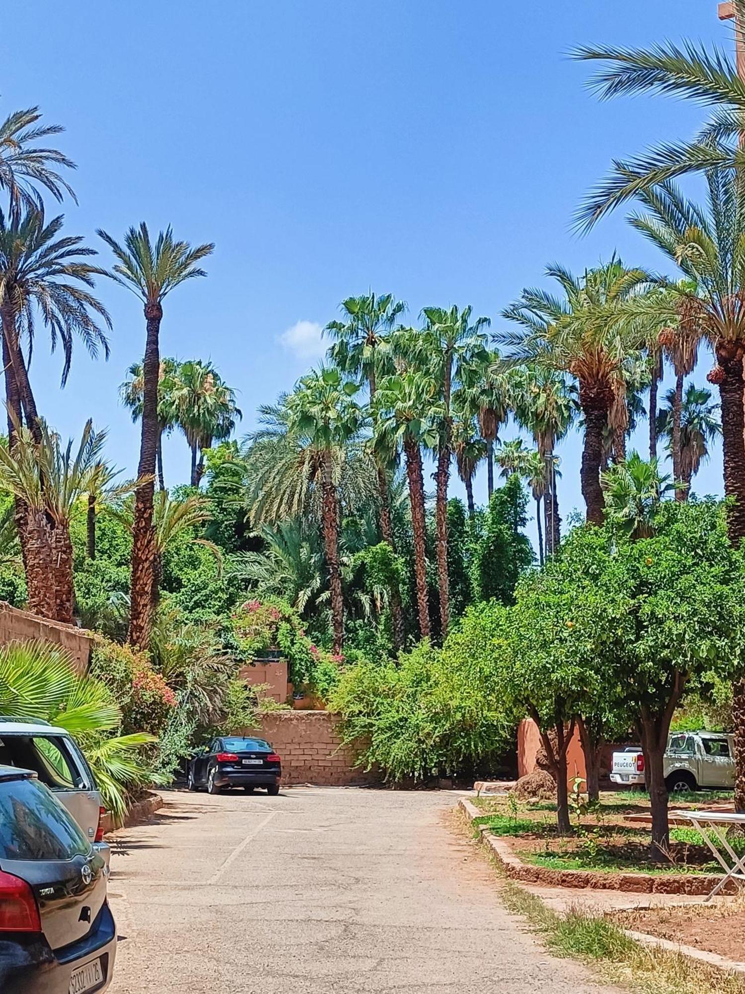 Superbe Avec Vue Sur Les Jardins Majorelle, Face Au Musee Ysl, Rue Yves Saint Laurent Apartamento