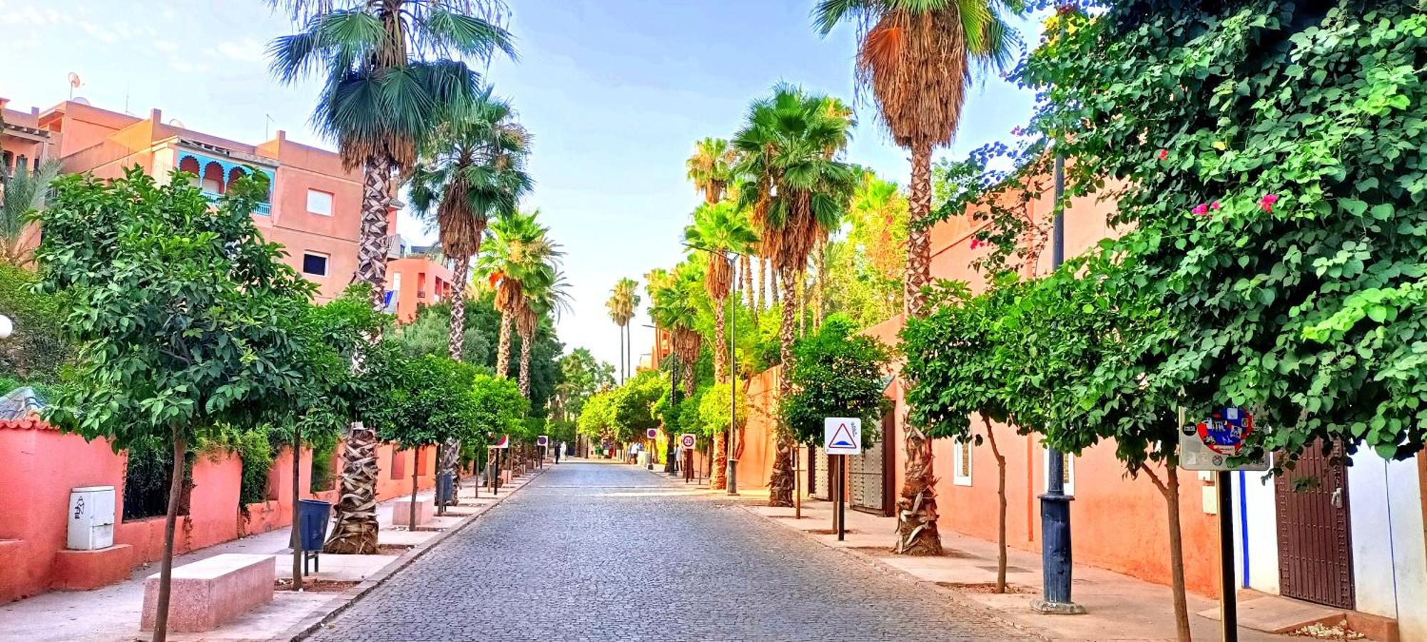 Superbe Avec Vue Sur Les Jardins Majorelle, Face Au Musee Ysl, Rue Yves Saint Laurent