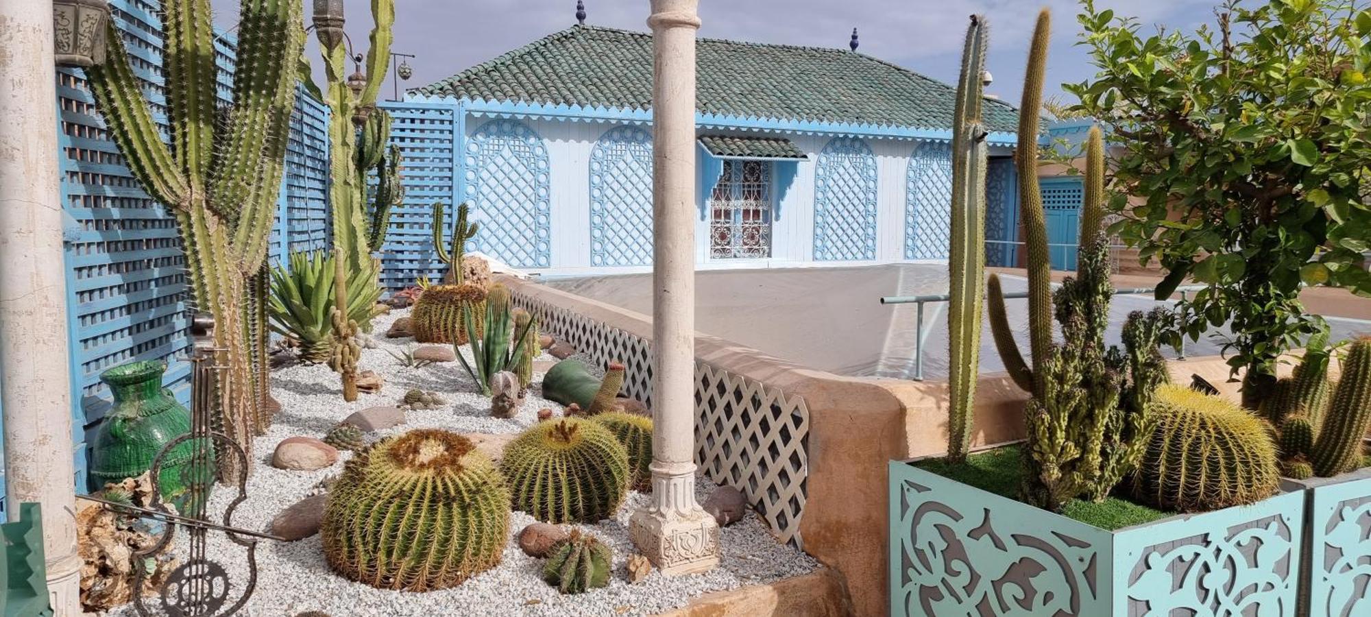 Armelle Riad