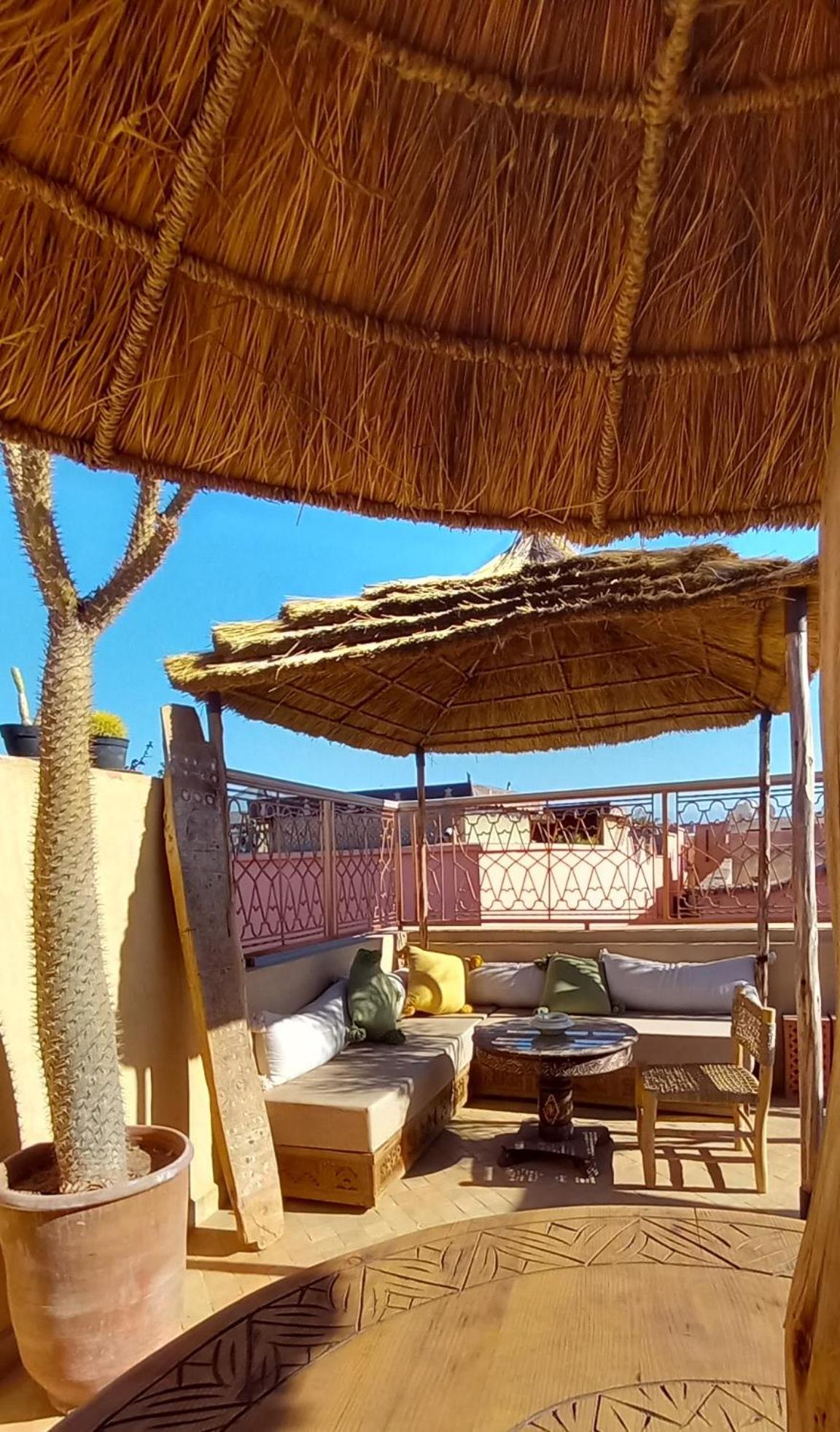 Miss Caracal Riad Marrakesh
