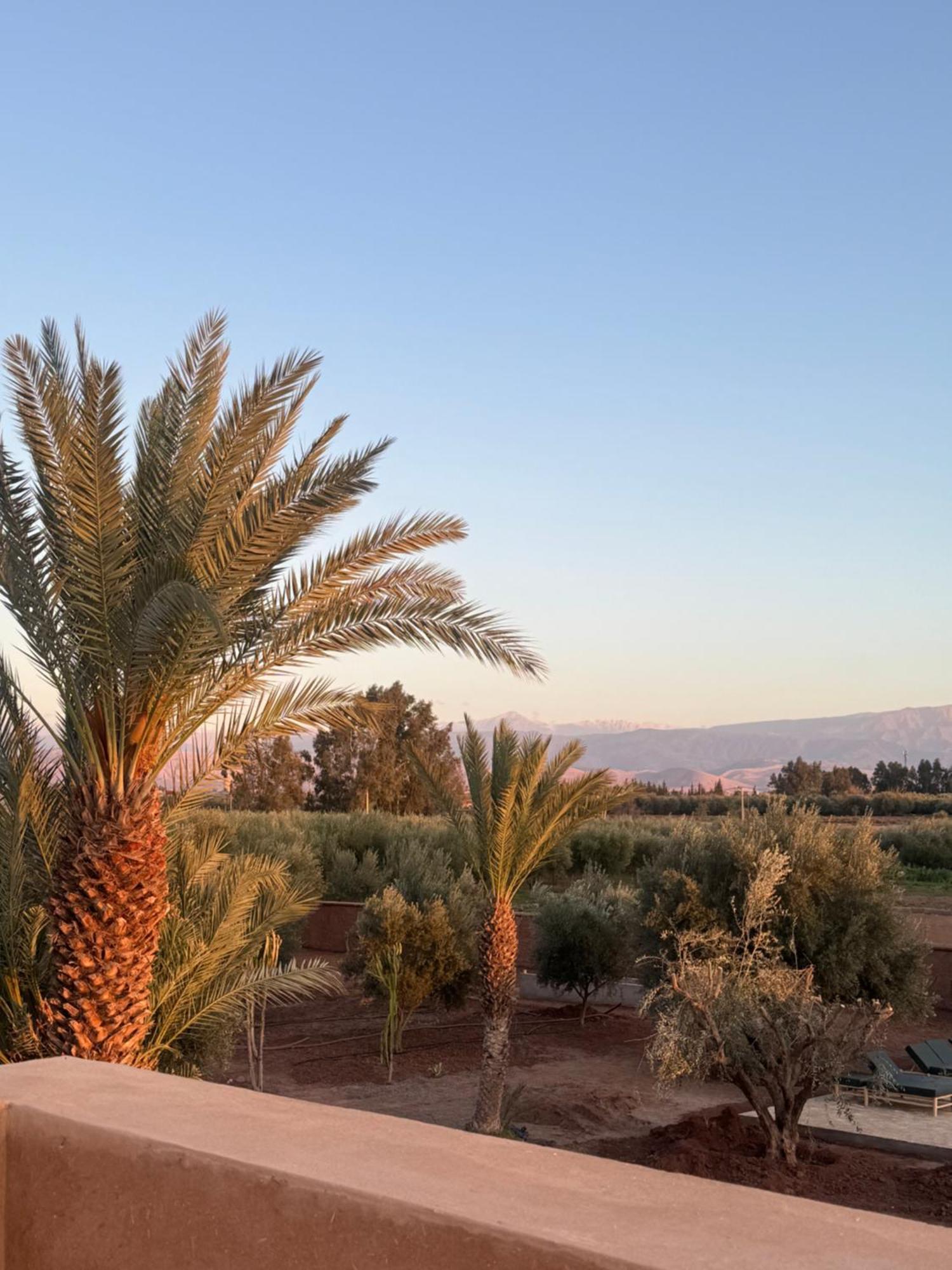 Marrakech Paradis Beldi Villa Marrakesh