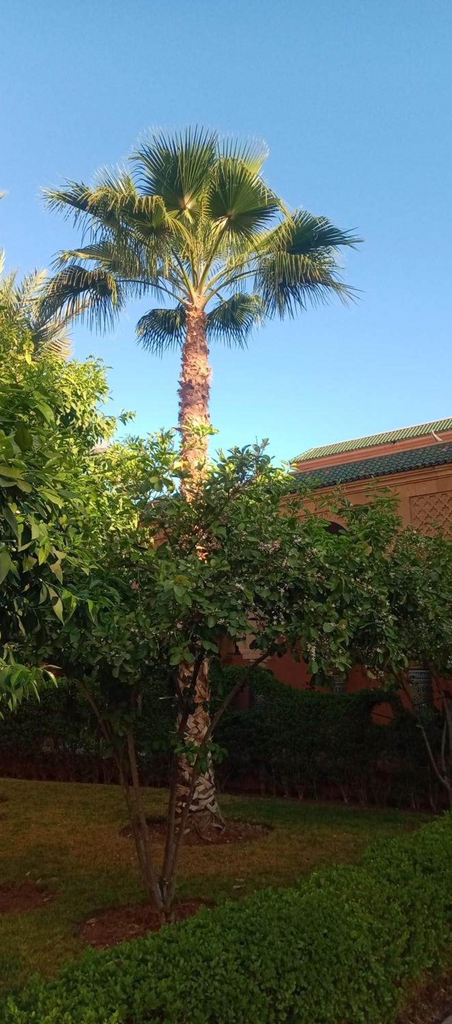 Maison d'hôtes Al-bushra Marrakesh
