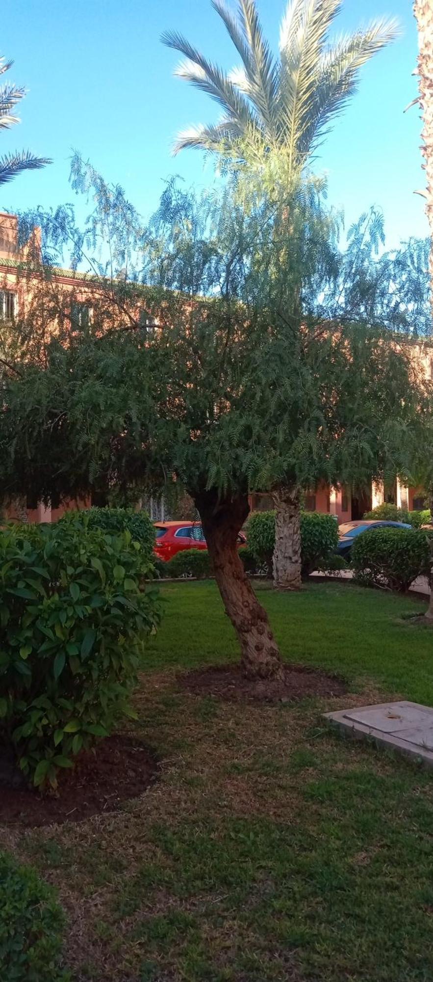 Al-bushra Maison d'hôtes Marrakesh