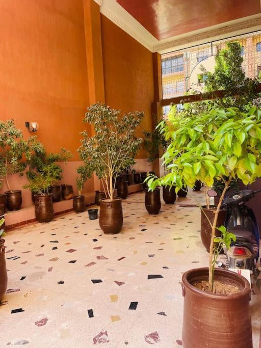Trattoria Marrakech Centre-ville * Marrakesch