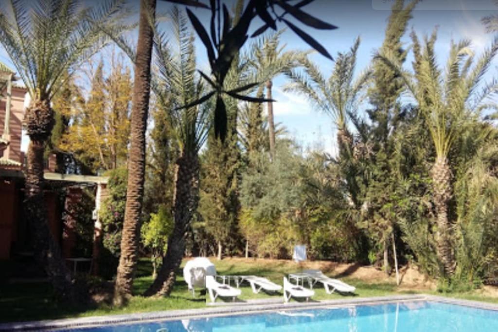 Tropical 3 Avec Piscine Appartement